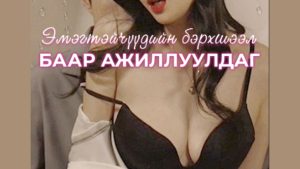 БААР АЖИЛЛУУЛДАГ ЭМЭГТЭЙЧҮҮДИЙН БЭРХШЭЭЛ